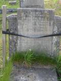 image of grave number 303594